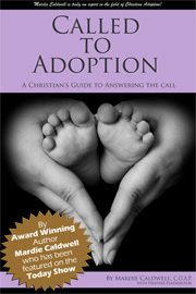Called to Adoption, a Christian's guide to adoption